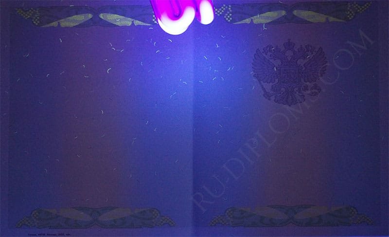 Диплом бакалавра 2004-2009 год  